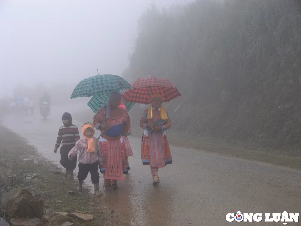 lao cai tran mua vang cuu hang van ha rung nguy co chay cao do nang nong keo dai hinh 1