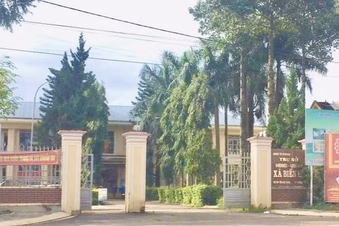 gia lai phat hien sai pham hon 46 ty dong tai tp pleiku hinh 1