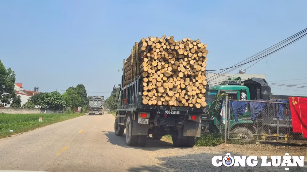 xe co dau hieu vi pham tai trong chang buoc so sai oanh tac quoc lo 17 hinh 6