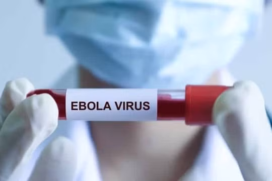 WHO cảnh báo dịch Ebola đang trong tình trạng khẩn cấp y tế toàn cầu