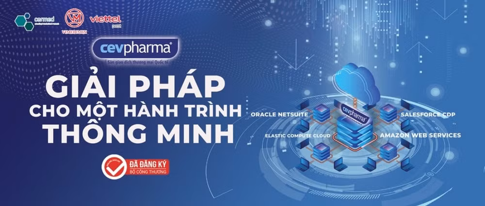 vimedimex va cermed gmbh chuan bi ra mat san giao dich thuong mai dien tu quoc te hinh 1