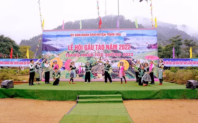 dac sac le hoi gau tao cua nguoi mong o tram tau hinh 1
