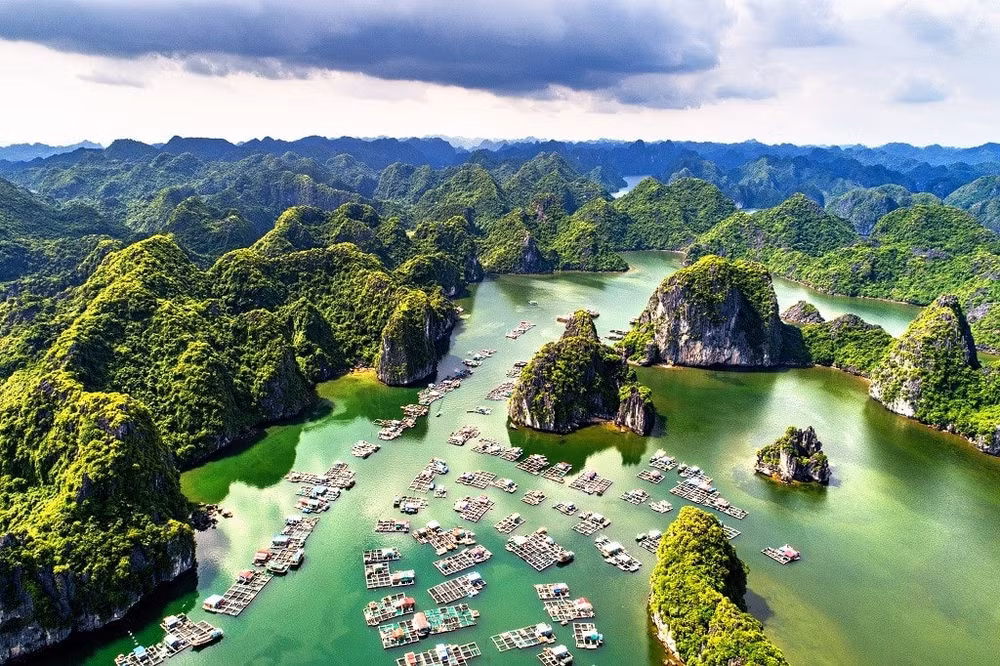 vinh lan ha va da lat diem den dang gia danh cho tin do yeu thich kham pha hinh 1