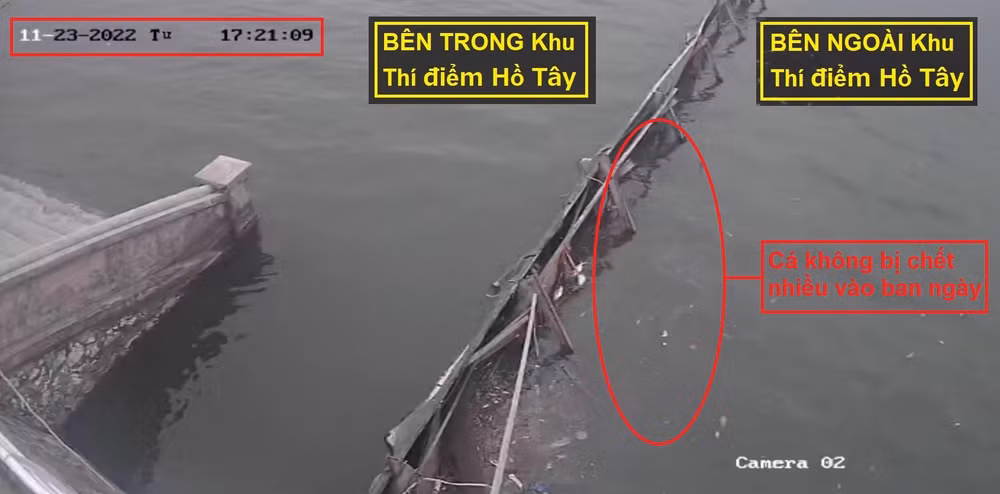 chuyen gia nhat ban nhan dinh nguyen nhan ca chet tai ho tay hinh 4