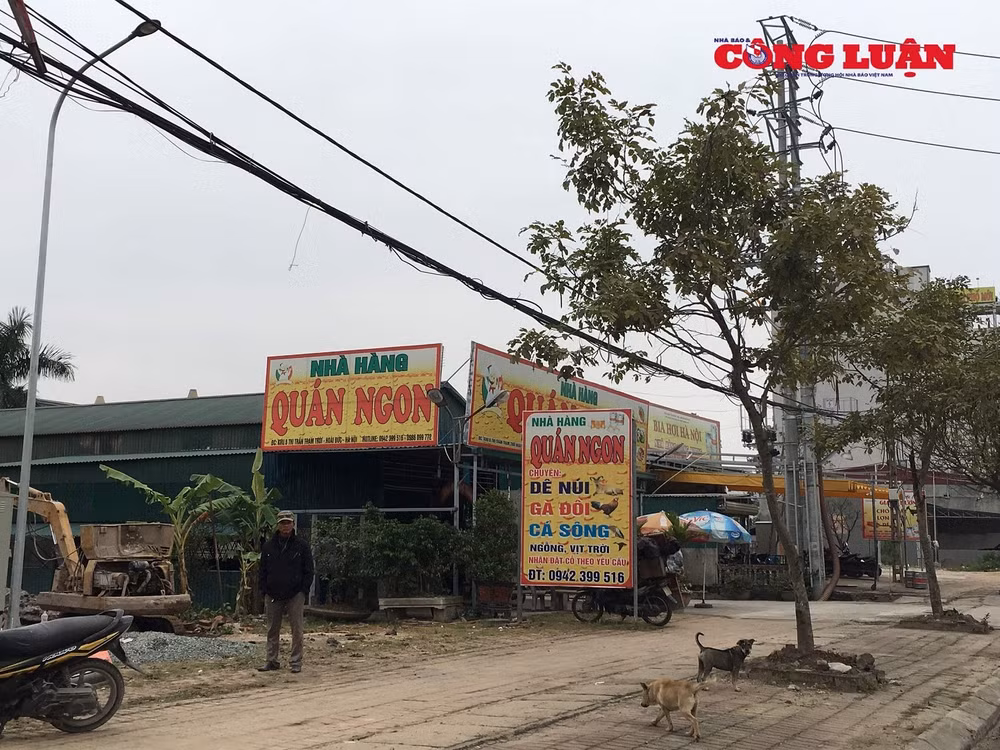 Quán ăn vi phạm hành lang an toàn lưới điện và mọc trên đất nông nghiệp tại khu 6 TT Trạm Trôi.