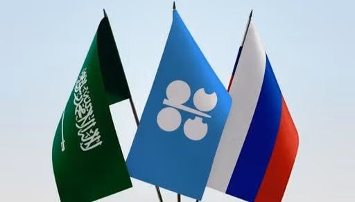 nga day manh nhap khau hang hoa tu saudi arabia hinh 1