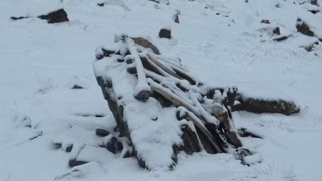 bi an ho xuong nguoi ngan nam tren day himalaya hinh 2