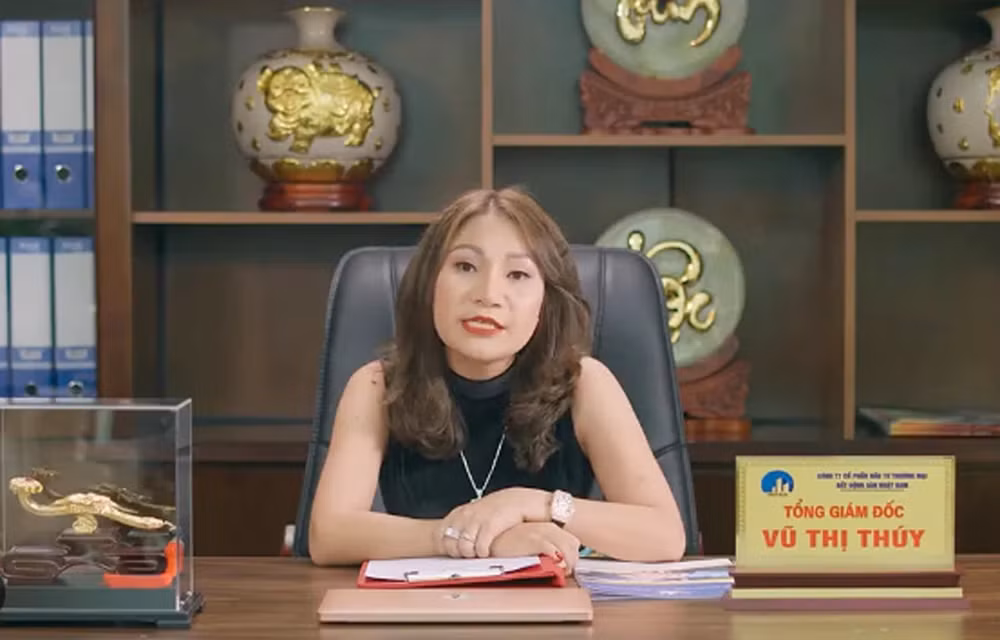 thu doan lua dao cua cong ty nhat nam huy dong gan 9000 ty dong voi khoang 20000 ca nhan sap bay hinh 3