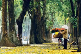 Thu Hà Nội càng đẹp hơn khi ‘hòa quyện’ với hit "Chúng ta của hiện tại" của Sơn Tùng MTP