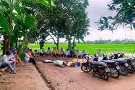 Bạc Liêu: Bắt giữ 17 đối tượng tổ chức đá gà ăn tiền