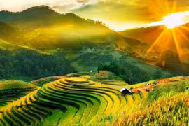 Việt Nam được bình chọn vào top điểm đến lý tưởng trong tháng 10