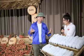 Những nghệ sĩ Việt hỗ trợ chống dịch giữa ồn ào showbiz