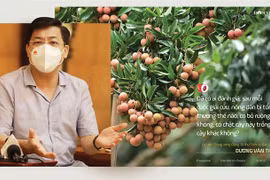 Bí thư Tỉnh ủy Bắc Giang Dương Văn Thái: Mùa vải nóng sẽ… ngọt ngào!