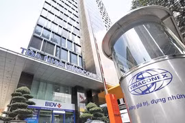 Vinaconex muốn huy động 2.200 tỷ đồng trái phiếu cho dự án Cát Bà Amatina