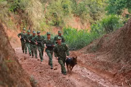 Quy định chính sách ưu đãi và chế độ đặc thù đối với Bộ đội Biên phòng
