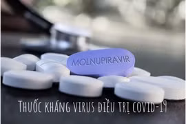 Việt Nam có khả năng sản xuất ít nhất 1 triệu liều Molnupiravir/ngày 