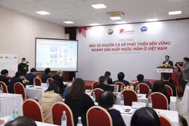 Sản xuất nước mắm cần phải đi đôi với bảo vệ nguồn lợi thủy sản