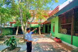 Hà Tĩnh: Xã cho thuê đất 50 năm trái thẩm quyền, hậu quả dân chịu
