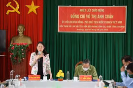 Phó Chủ tịch nước Võ Thị Ánh Xuân: Tuyệt đối không để dịch bệnh xâm nhập vào nội địa