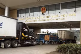Từ 1/1/2022: Hiệp định RCEP có hiệu lực, Việt Nam được hưởng lợi thế nào?