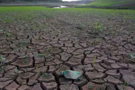 1,5°C và 2°C trong mục tiêu khí hậu khác nhau như thế nào?