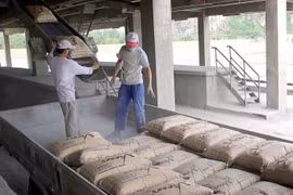 Sau thép, giá xi-măng đang có chiều hướng tăng mạnh
