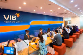 Ngân hàng VIB - từ kết quả hoạt động 'thăng hoa' đến chiến lược táo bạo ẩn chứa mạo hiểm