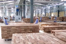 Chưa có quy định thế nào là "gỗ hợp pháp" trong mua sắm công ở Việt Nam