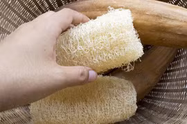 Xơ mướp khô tái chế làm được 5 vật dụng hữu ích thân thiện với môi trường