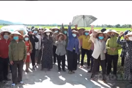 Hà Tĩnh chỉ đạo kiểm tra, xử lý dự án chăn nuôi của Công ty Khánh Giang