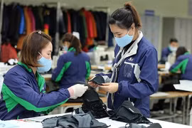 Doanh nghiệp châu Âu đánh giá cao môi trường kinh doanh của Việt Nam