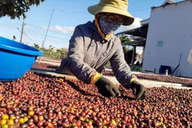 Một năm EVFTA có hiệu lực, hàng “made in Việt Nam” xuất khẩu sang châu Âu tăng mạnh