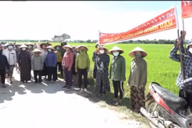 Huyện Đức Thọ yêu cầu Công ty Khánh Giang di dời đàn lợn đang nuôi trước ngày 7/8/2021