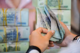 Tổng cục Hải quan: Tháng 7, nạn buôn lậu giảm nhưng số vụ vận chuyển ma túy lại gia tăng