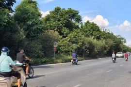 Trúng loạt gói thầu "khủng", Công ty Cây xanh Hà Nội vẫn liên tục thua lỗ