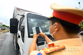 Tổng cục Đường bộ đề nghị tỉnh Trà Vinh không gây khó khăn cho vận tải “luồng xanh”
