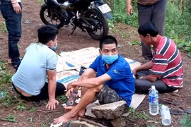 Gia Lai: Ăn nhậu trong rừng thông giữa mùa dịch, 5 người bị phạt 50 triệu đồng