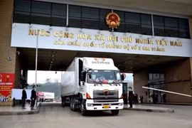 190 tấn thanh long xuất sang Trung Quốc trong ngày mùng 1 Tết Tân Sửu