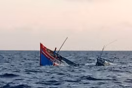 Truy tìm tàu hàng đâm chìm tàu cá của ngư dân Quảng Bình