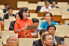 Đại biểu Quốc hội ấn tượng sâu sắc về một nhiệm kỳ Chính phủ thành công, liêm chính, kiến tạo