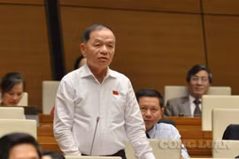 Đạo đức, văn hóa xuống cấp không thể dùng "đức trị" mà phải dùng "pháp trị"