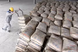 Quý IV, lượng tiêu thụ xi măng tại thị trường nội địa sẽ tăng