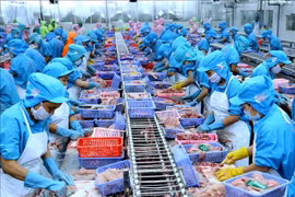 Hiệp hội VASEP kiến nghị giải pháp phục hồi ngành thủy sản