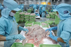 Doanh nghiệp thủy sản “khóc thét” về các quy định mới về bảo vệ môi trường