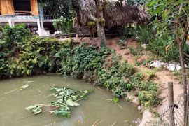 Yên Bái: Bé gái 3 tuổi tử vong do đuối nước