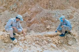 Quảng Trị: Phát hiện quả bom nặng hơn 200 kg sót lại sau chiến tranh