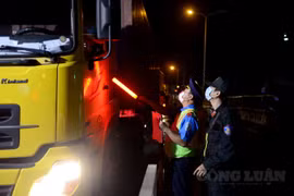 Lợi ích gì từ Giấy nhận diện phương tiện ưu tiên hoạt động trên “luồng xanh” vận tải?