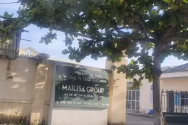 Nhà máy sản xuất của Công ty Mailisa Group nằm trên đất đã cấp cho doanh nghiệp khác