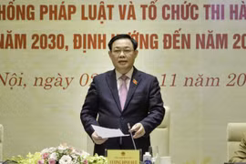 Xây dựng chuyên đề hoàn thiện hệ thống pháp luật và tổ chức thi hành pháp luật đến 2030, định hướng đến 2045