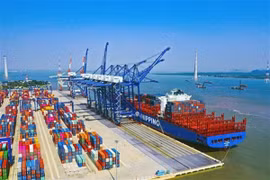 Đề xuất đầu tư 614 tỷ đồng làm đường kết nối cảng Lạch Huyện, Hải Phòng